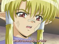Daishikkin Helena 2
